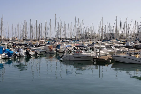 Serene Harbor with Boats