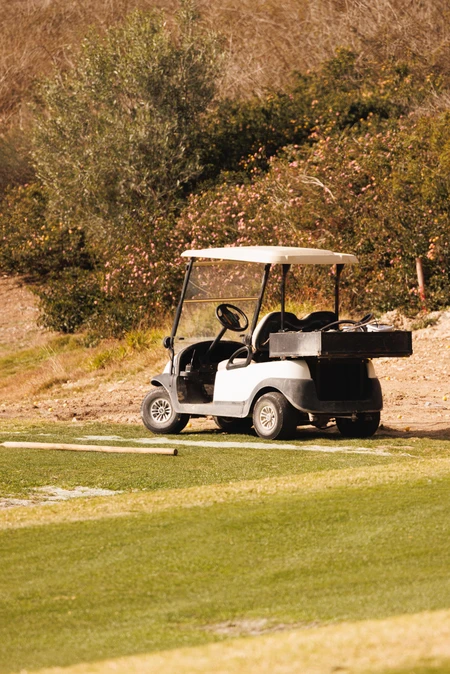 Golf Cart in Nature