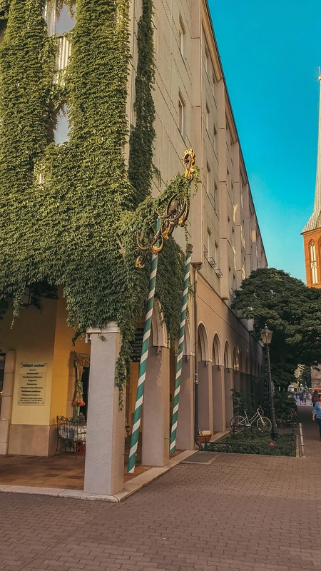 Ivy-Clad Building on Sunny Street