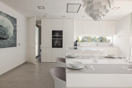 Modern Minimalist Kitchen