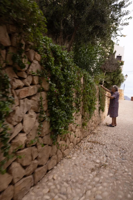Stone Wall with Greenery