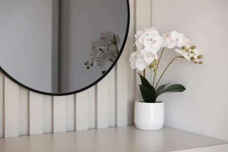 Minimalist Decor with Orchid