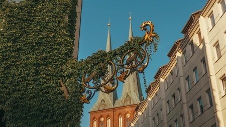 Historic Architecture and Ivy
