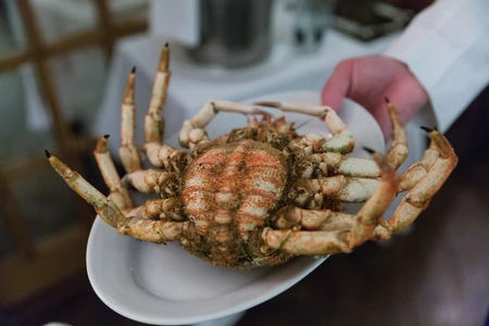 Crab Served on a Plate
