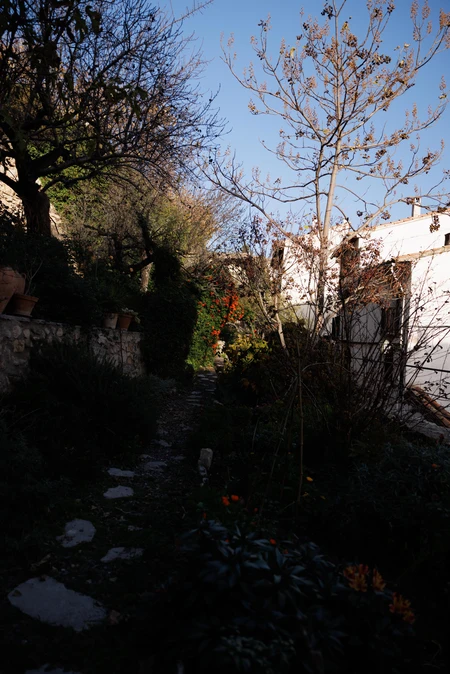 Secluded Garden Path