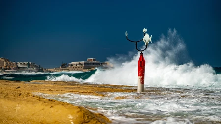Coastal Waves and Buoy
