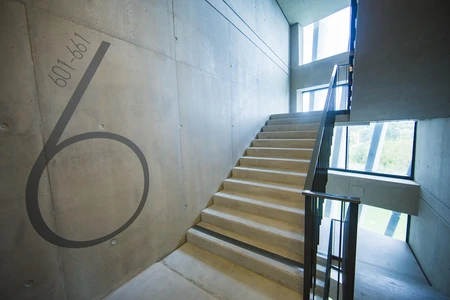 Modern Staircase Interior