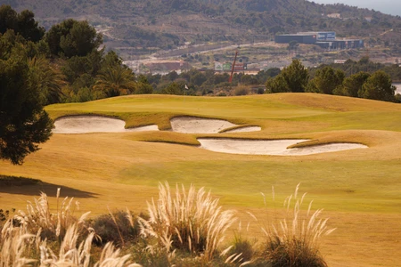 Sunny Golf Course Landscape