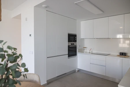 Modern White Kitchen Interior