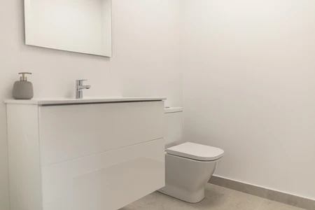 Modern Bathroom Interior