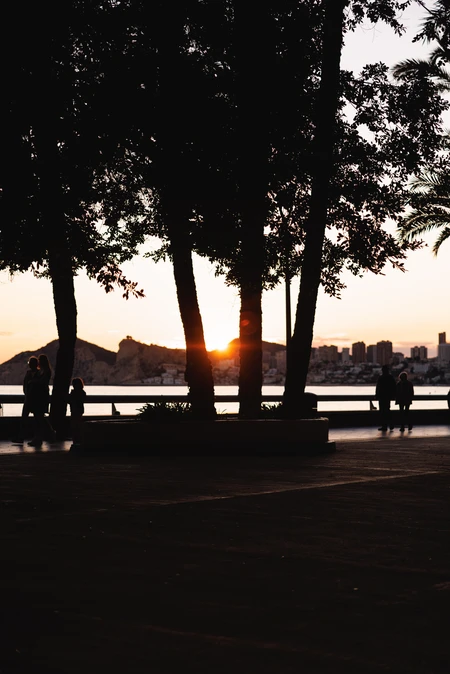 Sunset by the Waterfront
