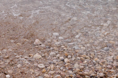 Pebble Shoreline