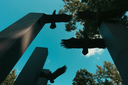 Sculptures in Flight