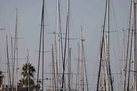 Masts at the Marina