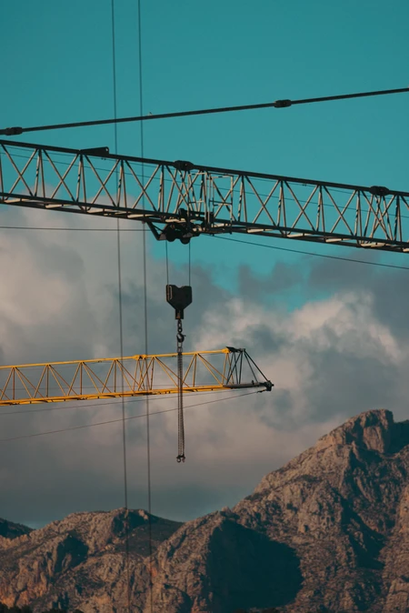 Crane Over Mountains