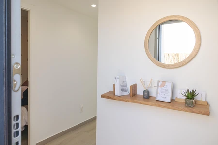 Minimalist Interior Entryway