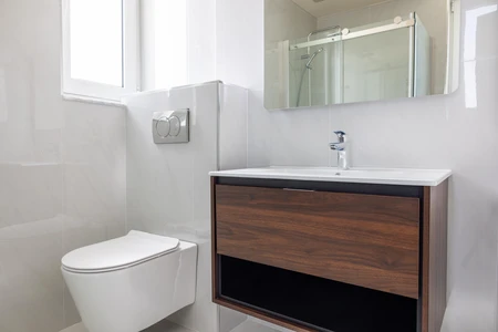 Modern Bathroom Interior