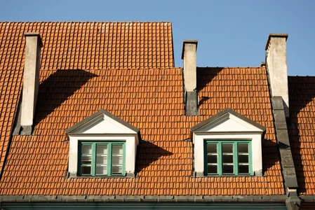 Historic Rooftop Architecture