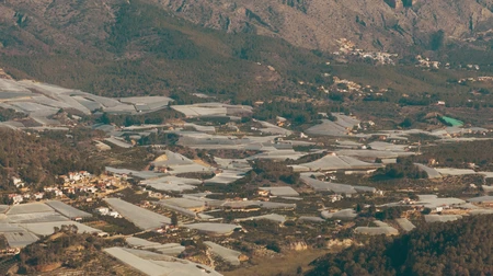 Aerial View of Agricultural Landscape