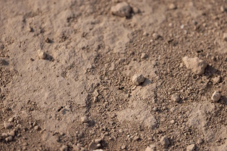 Rugged Terrain Texture