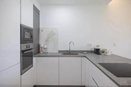 Modern Minimalist Kitchen