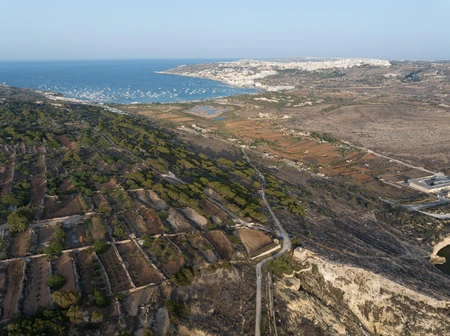 Coastal Landscape with City View
