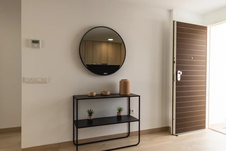 Minimalist Interior Entryway