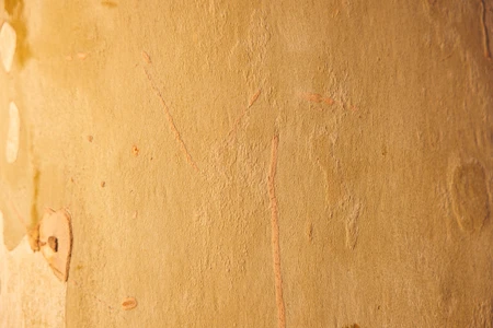 Textured Wall Close-up