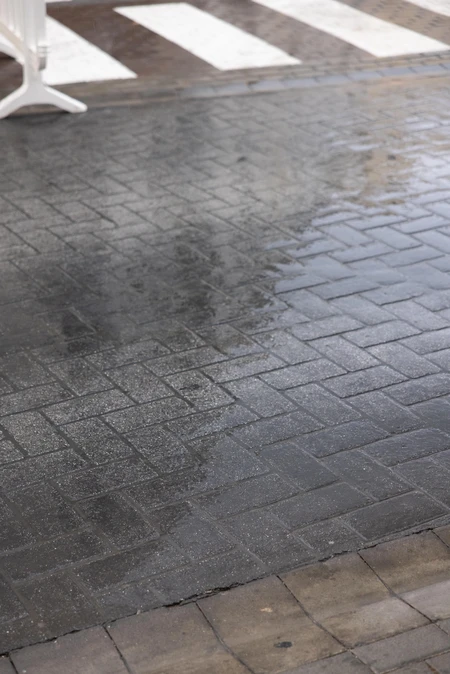 Rainy Pavement
