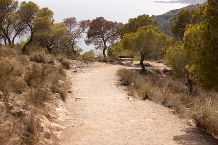 Serene Coastal Pathway