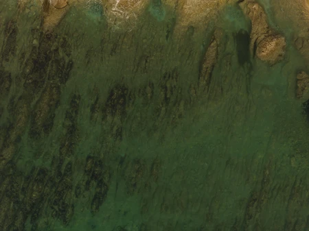 Aerial View of Green Waters