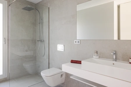 Modern Minimalist Bathroom