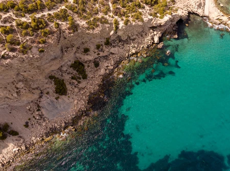Coastal Aerial View