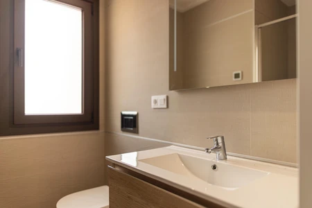 Modern Bathroom Interior