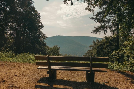 Scenic Mountain View