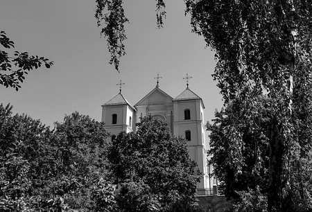 Historic Church Behind Trees