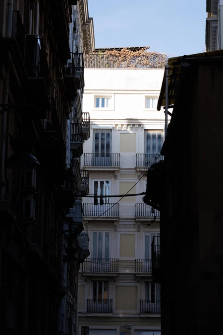 Sunlit Building Between Shadows