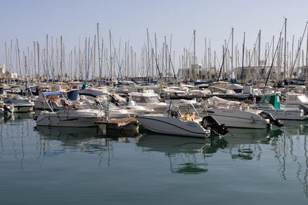 Serene Marina with Moored Boats