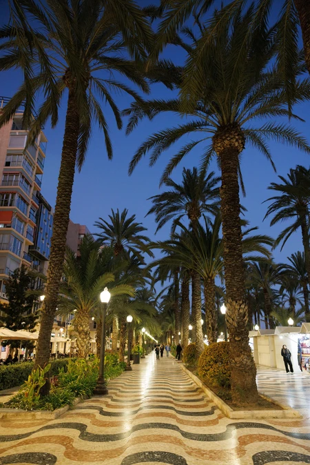 Evening Promenade