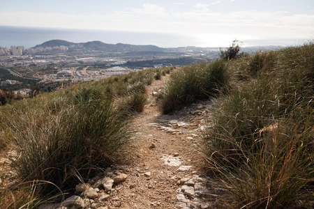 Scenic Coastal Trail