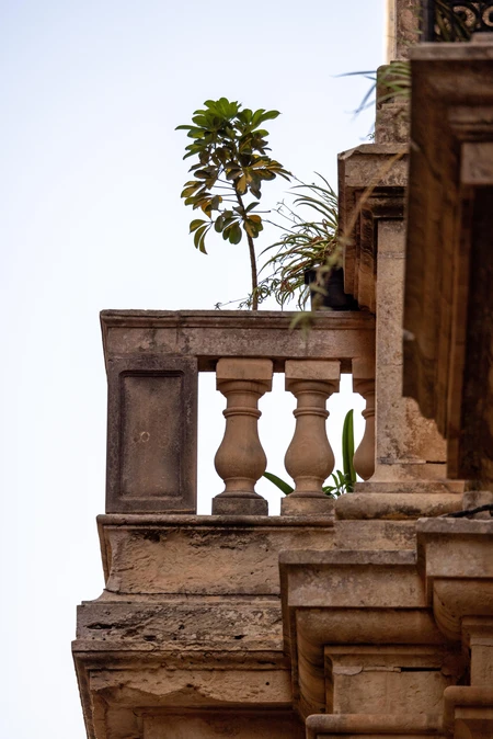 Architectural Balcony with Foliage