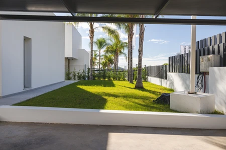 Modern Backyard with Palm Trees