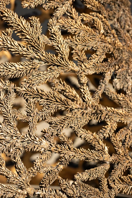 Intricate Leaf Texture