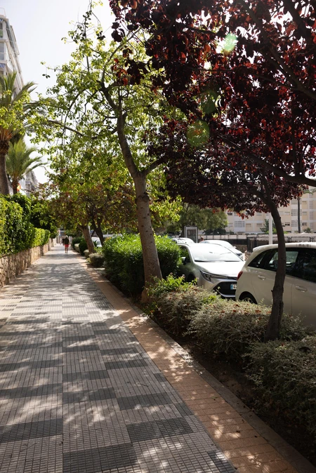 Sunlit Sidewalk Scene