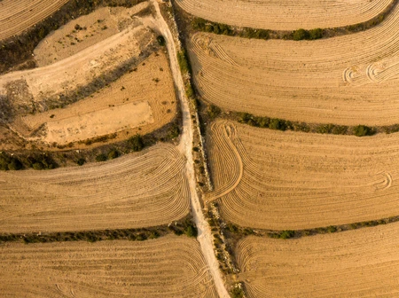 Aerial View of Agricultural Fields