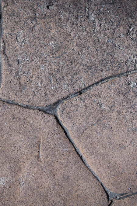 Close-Up of Textured Surface