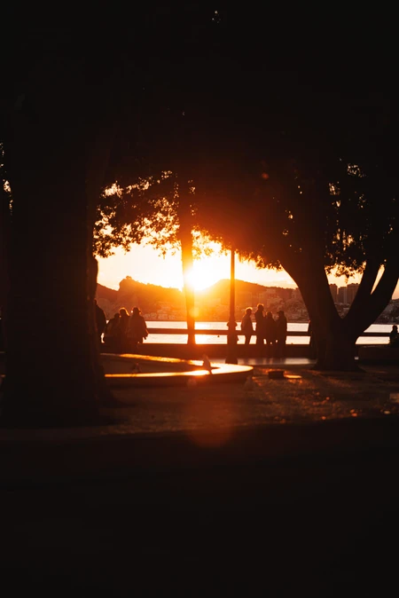 Sunset Gathering by the Water