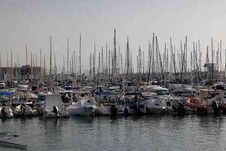 Marina with Sailboats