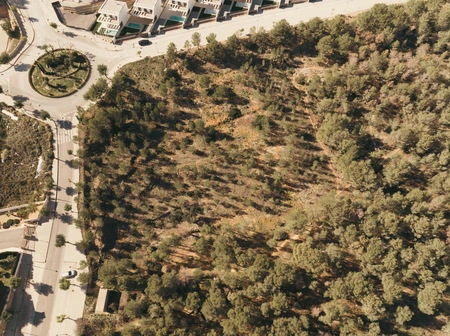 Aerial View of Urban Forest