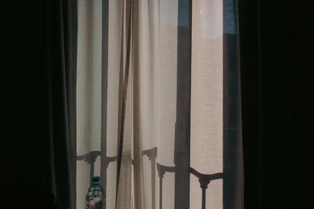 Sunny Window Silhouette